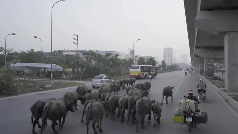 [Translate to English:] VÀO ĐỜI / WE COME INTO LIFE (SIU PHAM, 2021)