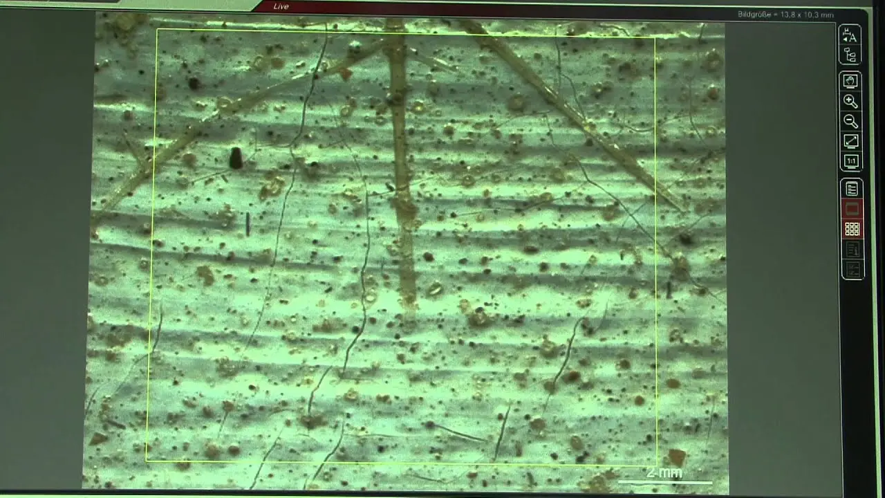 Nach Ägypten! Untersuchungen zu Sand in Slevogts Gemälden