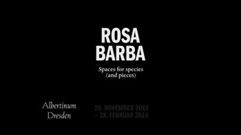 Rosa Barba im Albertinum in Dresden