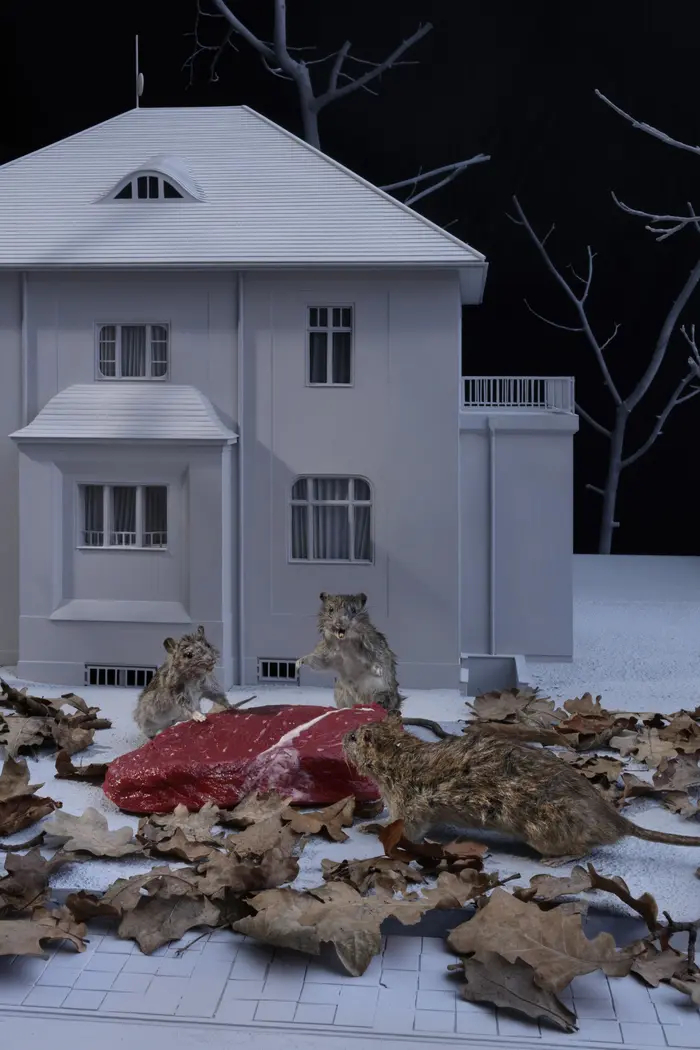 Mäuse vor einem Haus