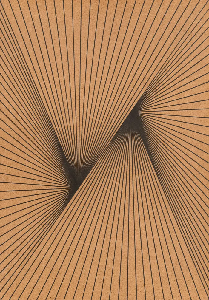 Anordnung vieler Linien, die auf je einen Punkt zulaufen