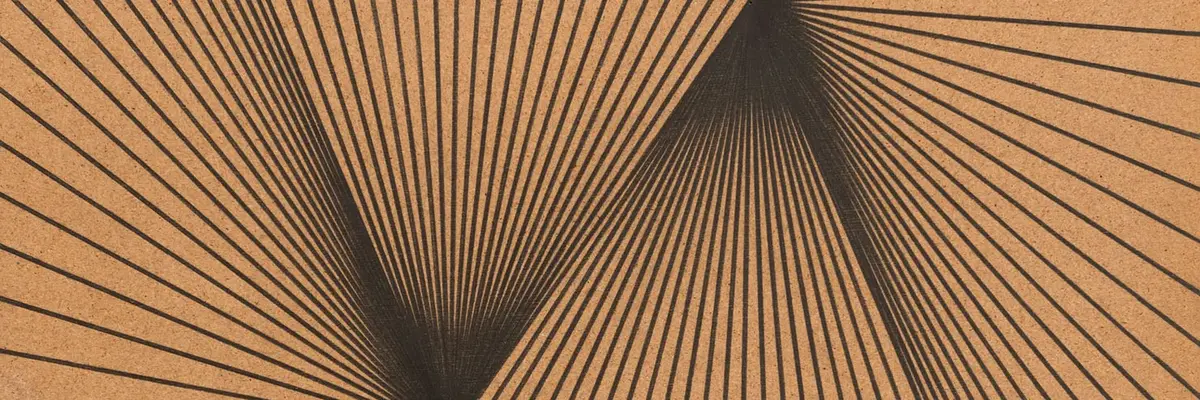 Anordnung vieler Linien, die auf je einen Punkt zulaufen