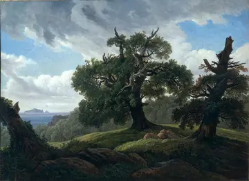 Bäume in einer Naturlandschaft, im Hintergrund ein Gewässer
