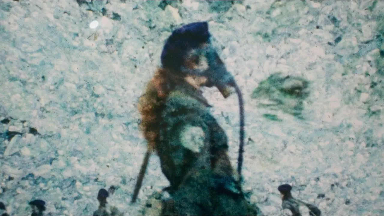 Kaleidoskop der Geschichte(n). Ukrainische Kunst 1912–2023 | Albertinum (6.5.—10.9.2023)