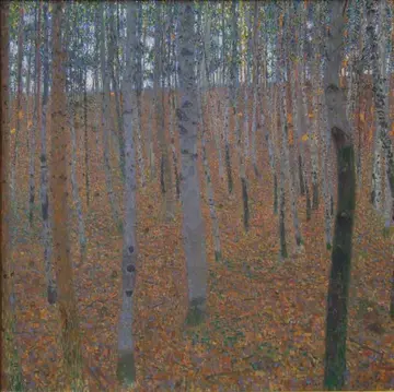 Viele dünne Baumstämme auf einem von Herbstlaub bedecktem Waldboden